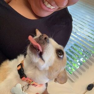 Meet your Posher, Diana